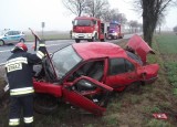 Wypadek w Jurkowicach. Auto zjechało do rowu [zdjęcia]