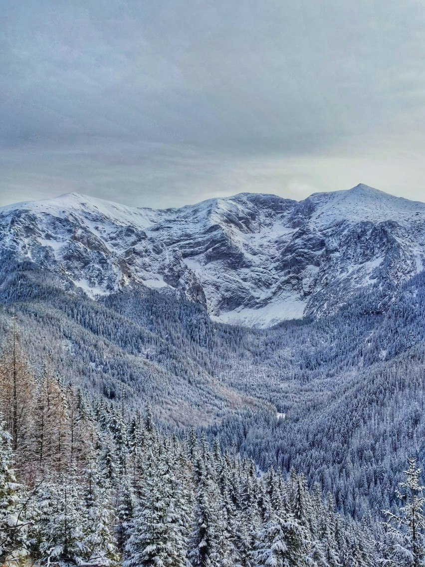 Tatry. Zima zagląda w góry. Tatry Zachodnie ośnieżone. Wyglądają niesamowicie