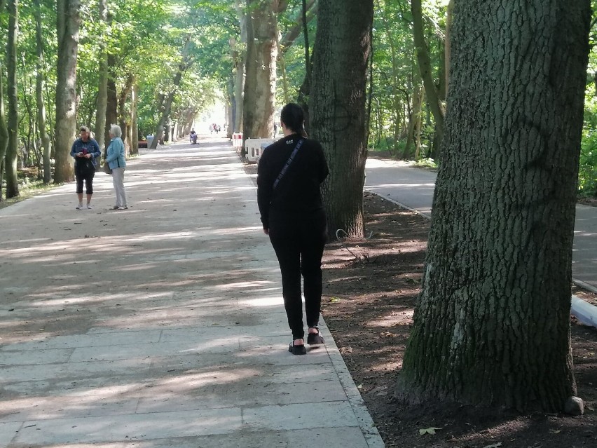 Nazistowskie symbole na drzewach na promenadzie, w zabytkowym parku 