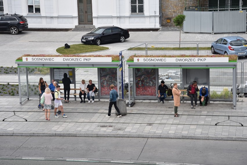 W centrum miasta z dnia na dzień przybywa zieleni. Zobacz...