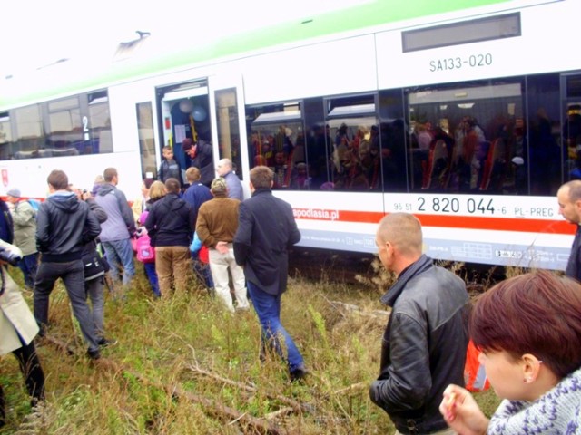 Przez zarośla i śmieci w nowoczesność.