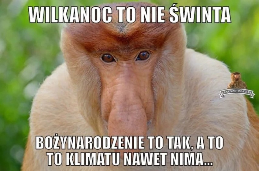 Memy na Wielkanoc: Tak internauci postrzegają świąteczny...