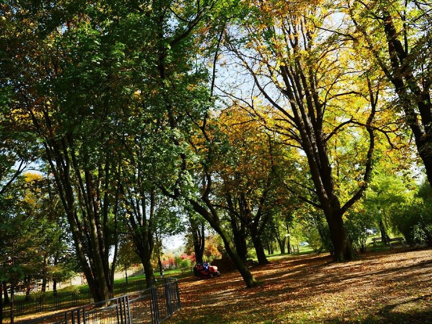 Złota jesień w wodzisławskim Parku Miejskim