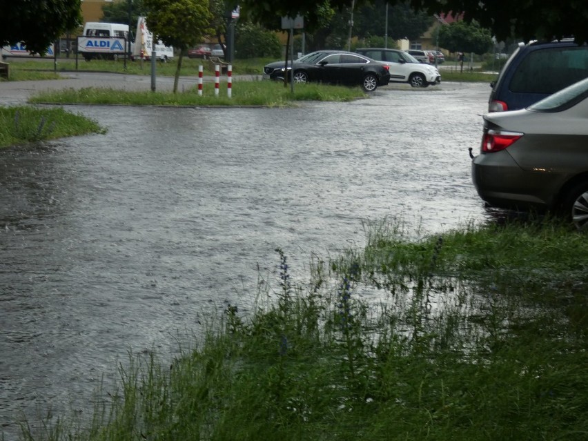 Jezioro na Orzeszkowej w Pile. I nie tylko tam [ZDJĘCIA]