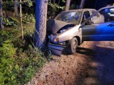 Seat wypadł z drogi i uderzył w drzewo w Chynowie. Kierowca prawdopodobnie był pijany