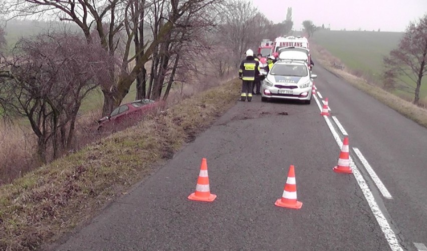 Wypadek w Ptakowicach. Kierująca samochodem uderzyła w drzewo, jest ciężko ranna