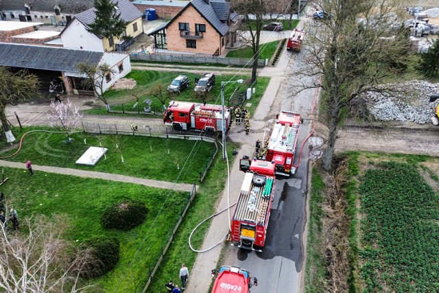 W wyniku pożaru zginęło 10 proc. hodowli królików.