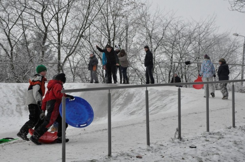 Główną atrakcją dla amatorów sankowych szaleństw w żuławskim...