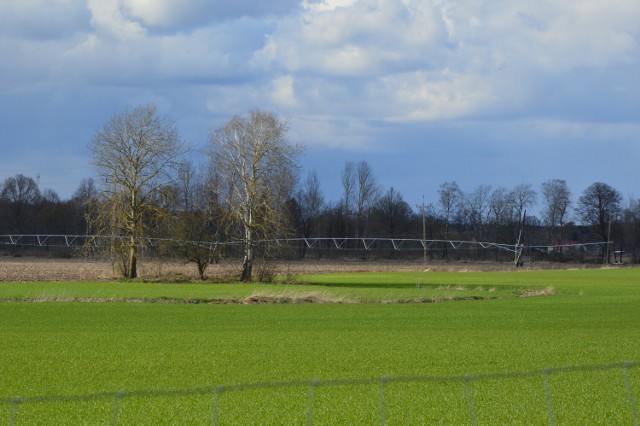 Tajemniczo wyglądające konstrukcje na polach  w pobliżu wsi Toporów to po prostu zraszacze.