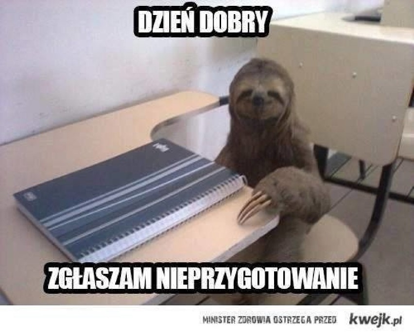 OTO najlepsze memy na nowy rok szkolny!