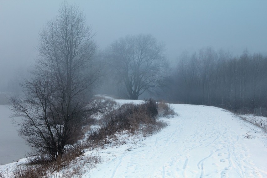 Zimowy spacer nad Kamionką Bolko [zdjecia] 