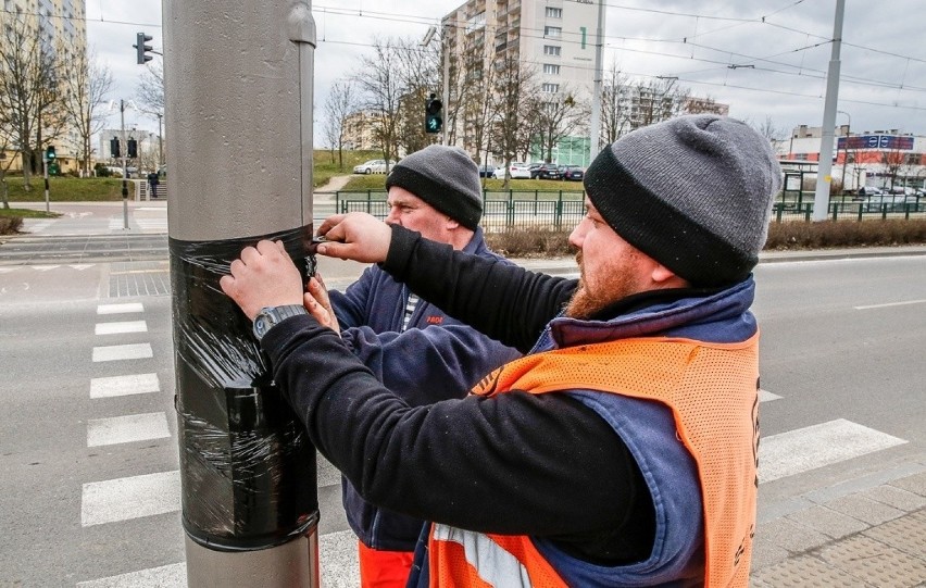 Gdańsk zakleja przyciski sygnalizacji na przejściach dla pieszych. To kolejne działanie chroniące przed koronawirusem [galeria]