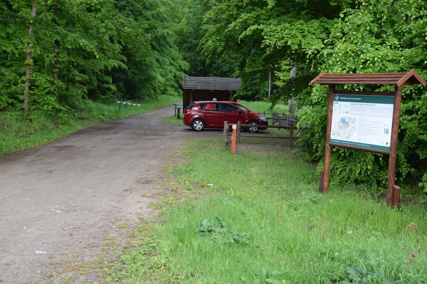 Zielony Punkt Kontrolny w lasach koło Szczecinka. Leśnicy zapraszają [zdjęcia]