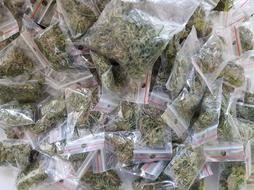 Kilogram marihuany u 34-latka z Zelowa. W domu miał prawie 350 dilerek wypełnionych narkotykiem