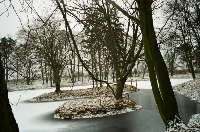 Park w Kościelcu w roku 1999.