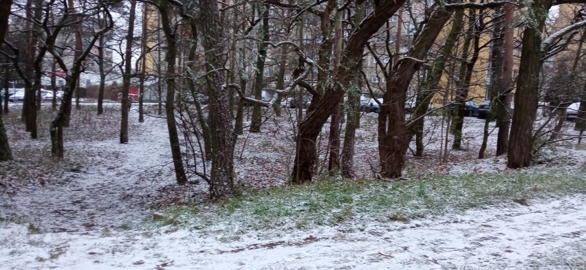 Osiedle Przyjaźni - jedno z największych w Zielonej Górze.