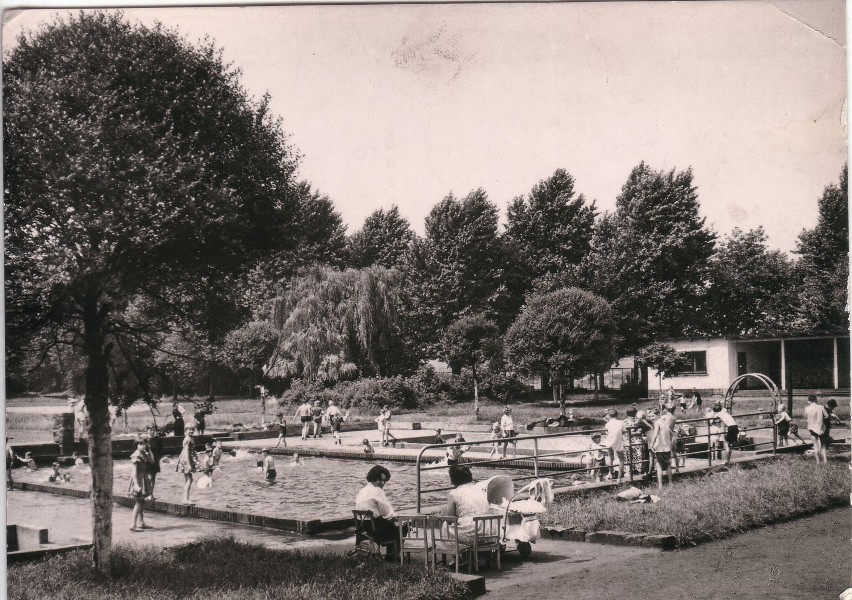 Ogród Jordanowski 1962 r.