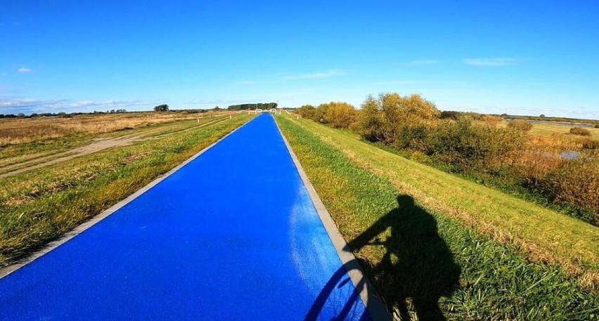 Gdańskie 7 kilometrów Wiślanej Trasy Rowerowej otwarte. Fragment trasy jest niebieski