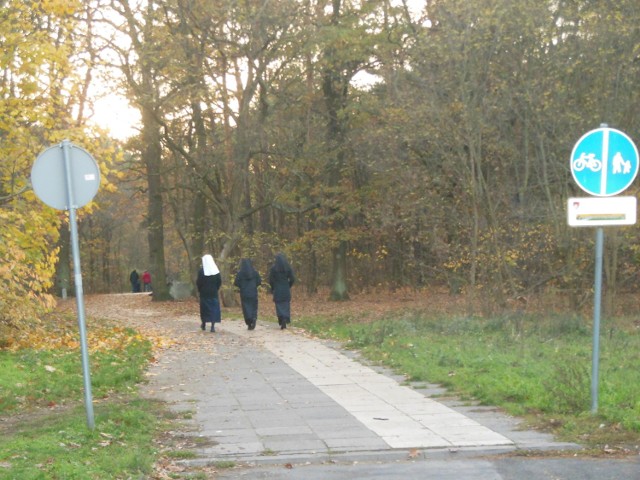 Leśny deptak znajduje się między osiedlem Zacisze a osiedlem Leśnym w Zielonej Górze. Mieszkańcy chętnie nim spacerują. Czy jest szansa na jego wydłużenie? 

To miejsce upodobali sobie spacerowicze, ale nie tylko. Leśny deptak miał połączyć osiedle Zacisze z osiedlem Leśnym. Wybudowano go jednak do połowy, do torów kolejowych. Dalej już nie można było położyć płyt, bo teren należy do Lasów Państwowych a nie do miasta. Ale plany ciągle są takie, by deptak połączył oba osiedla. 

- Mam nadzieję, że nowo wybrani radni doprowadzą tę inwestycję do końca. Przecież jakoś miasto może się dogadać z Lasami Państwowymi, by było tu bezpiecznie i wygodnie mieszkańcom obu osiedli, a nawet trzeciego, bo przecież planuje się za Leśnym wybudowanie kolejnego dużego osiedla - Leśnego Dworu - mówi pani Jadzia. 

- A ja chciałbym, żeby wreszcie - jak to było dawniej - otwarte zostało przejście przez tory za osiedlem Leśnym - dodaje pan Franciszek, także mieszkaniec osiedla Zacisze. - Ludzie i tak nie idą dookoła, ale przechodzą w tym samym miejscu, co kiedyś. Chociaż teraz nielegalnie. 

Leśny deptak i jego okolice cieszą się dużą popularnością. Został wyłożony starymi płytami, które królowały na deptaku na Starym Rynku w latach 70. i kolejnych. Od ulicy Kupieckiej aleja Niepodległości nadal jest wyłożona tymi starymi płytami. Gdy będzie tu remont, warto znów przeznaczyć je na leśny deptak, który mógłby pobiec aż do osiedla Leśnego.