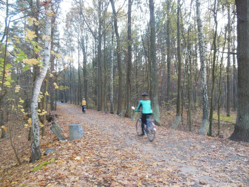 Leśny deptak znajduje się między osiedlem Zacisze a osiedlem...