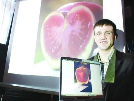 Fot. Janusz Wójtowicz &amp;#8211; W środku takiego jabłka znajdziemy pomidora &amp;#8211; pokazuje Tomasz Pieciuń.