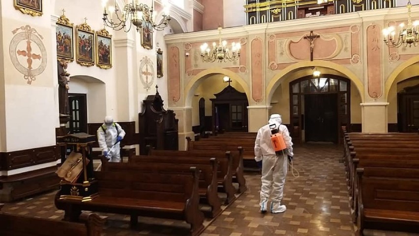 Dezynfekcja bazyliki w Tuchowie