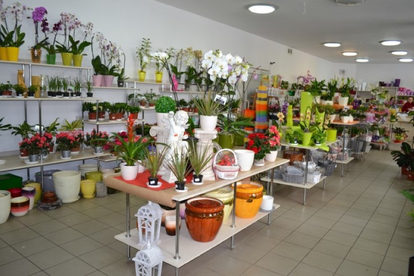 Mistrzowie Handlu 2015 - Kwiaciarnia Roku - Kwiaciarnia Zaremba w Kartuzach i filie