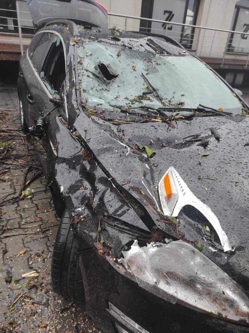 Rzeczoznawca ocenił, że po upadku drzewa na samochód, auto...