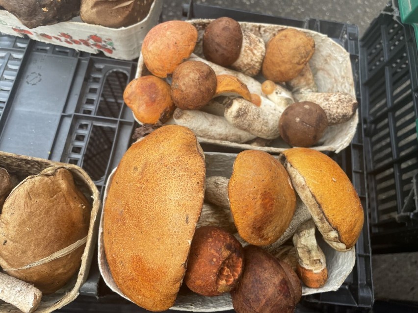 Mnóstwo grzybów i innych wspaniałych darów jesieni na hali targowej w Rzeszowie 