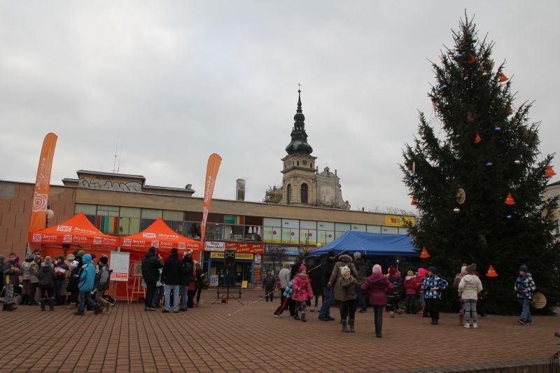 Choinki Jedynki w Tarnobrzegu