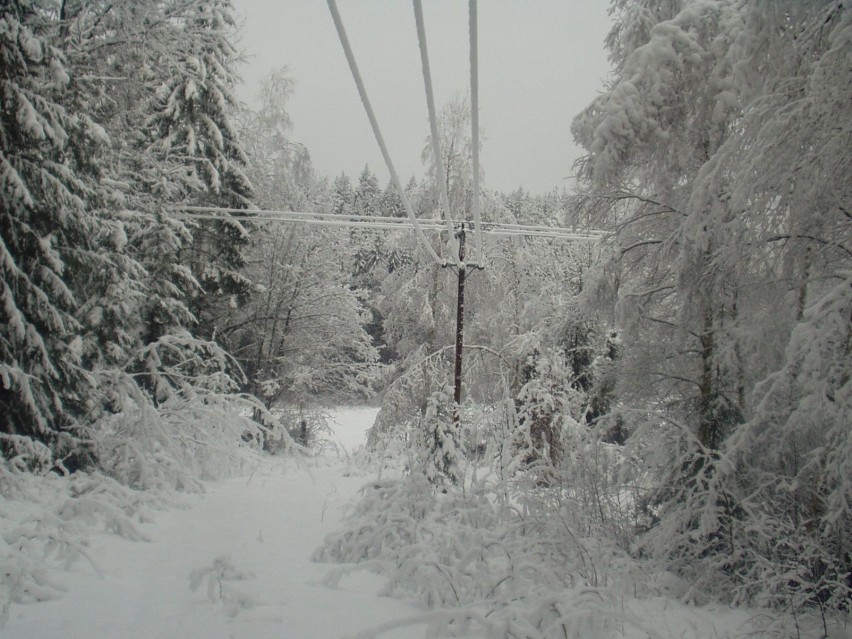 Zimowe widoki (zdjęcia)