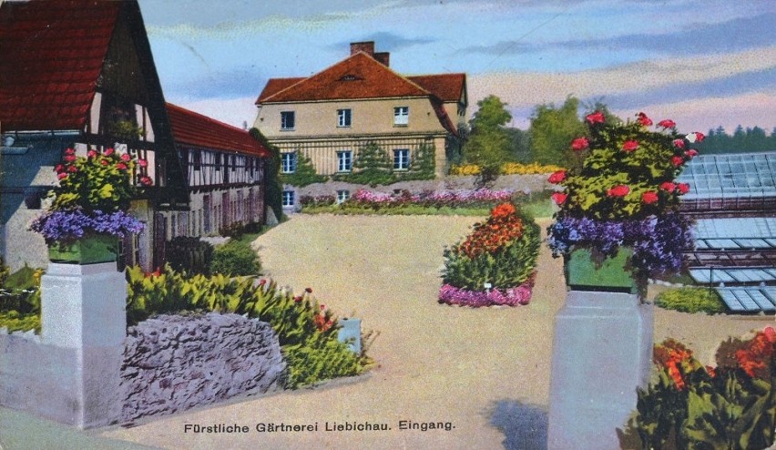 Zobacz zdjęcia wspaniałej Palmiarni w Wałbrzychu na początku XX wieku