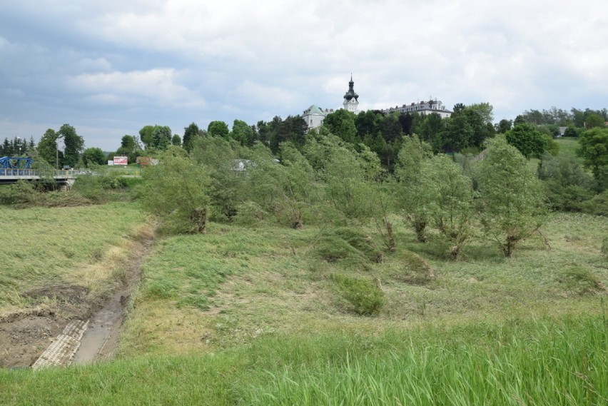 Tuchów. Chaszcze na brzegach Białej wreszcie zostaną wycięte