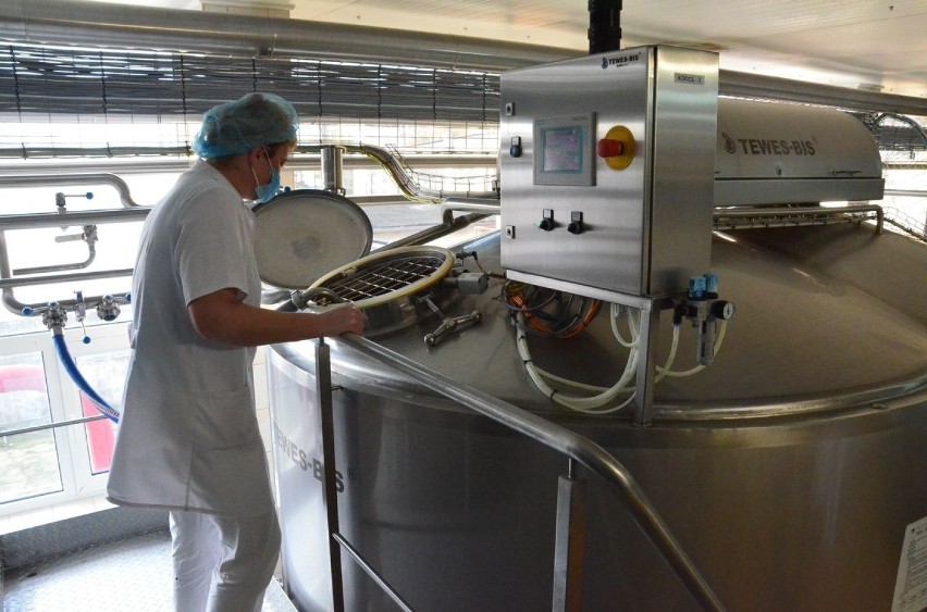 KeSeM z Włocławka w ciągu roku przerabia 25 milionów litrów mleka [zdjęcia, wideo]