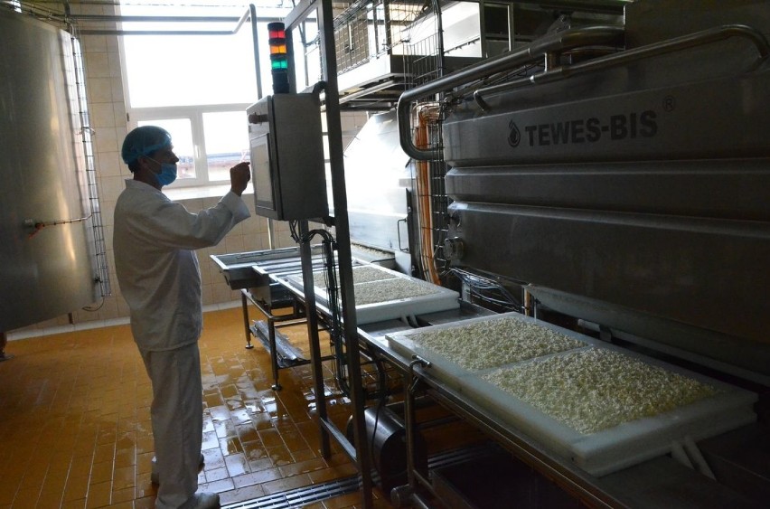 KeSeM z Włocławka w ciągu roku przerabia 25 milionów litrów mleka [zdjęcia, wideo]