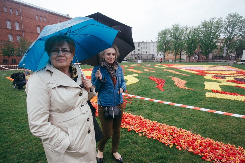 Dywan kwiatowy na Wyspie Młyńskiej w Bydgoszczy w 2017 roku