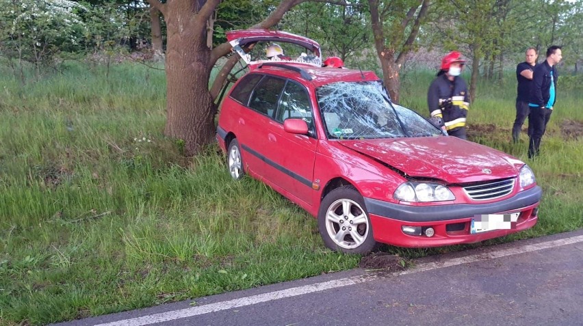 Wypadek pod Łaniewem. Uderzył samochodem w drzewo [ZDJĘCIA]