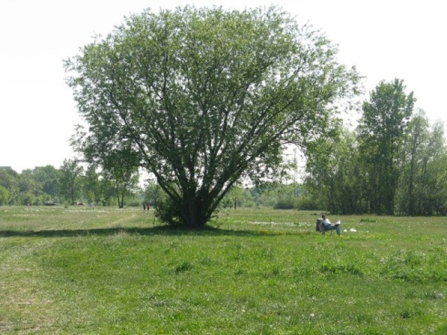 W trakcie grudniowego głosowania odrzucili ten wniosek radni ...