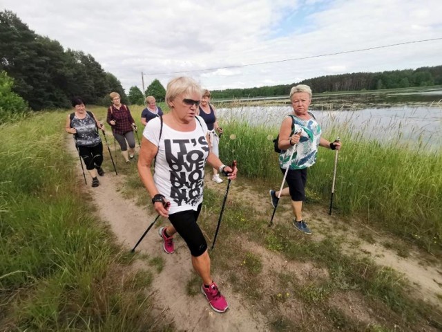 Festiwal nordic walking będzie kolejną imprezą dla miłośników marszu z kijkami w Skokach