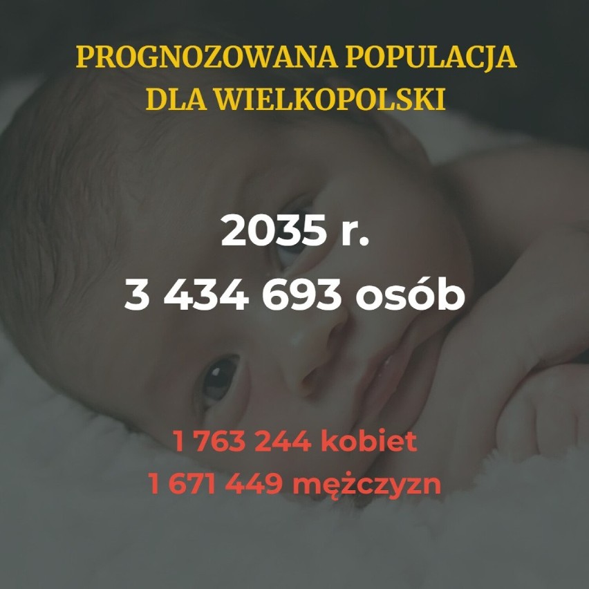 Według najnowszych danych Głównego Urzędu Statystycznego...