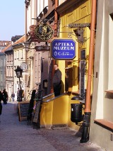 Jajo mądrzejsze od kury - farmaceutyczna hipokryzja