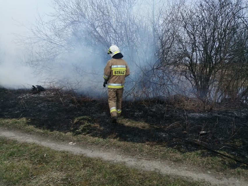Wielkanocne pożary traw w gminie Libiąż. Strażacy mieli Lany Poniedziałek [ZDJĘCIA]