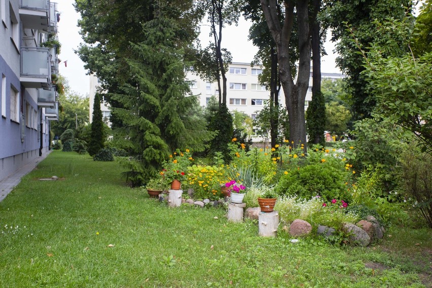 Betonowe podwórka zamieniają się w zielone ogródki....