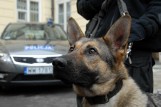 Nowe zwierzęta i sprzęt. Policja jest gotowa na Euro (ZDJĘCIA)