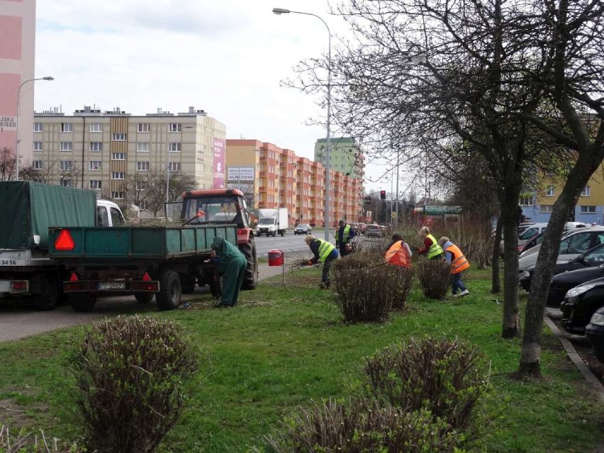 Piła: wiosenne porządki