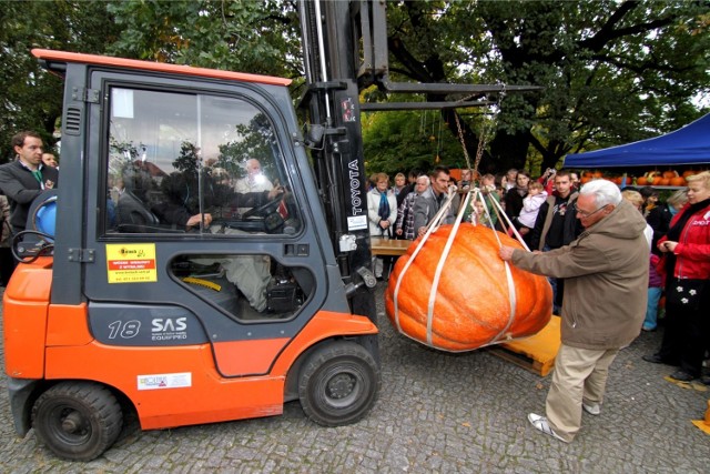 Festiwal Dyni we Wrocławiu