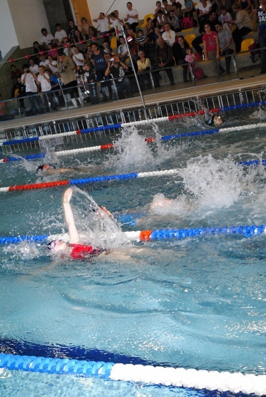 Na pływalni Złota Rybka: W mikołajkowych zawodach wystartowało ponad 200 dzieciaków