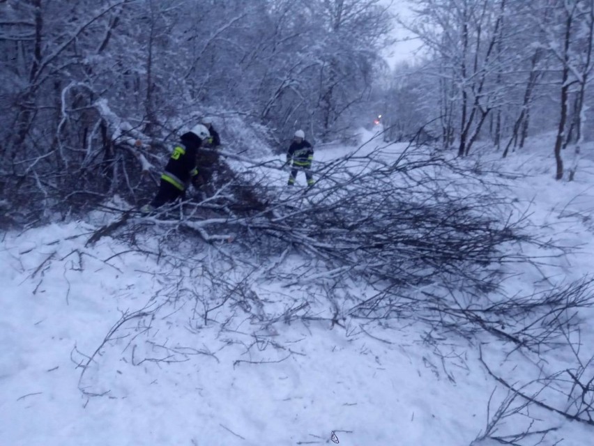 Strażacy w wielu miejscach usuwali połamane drzewa i...