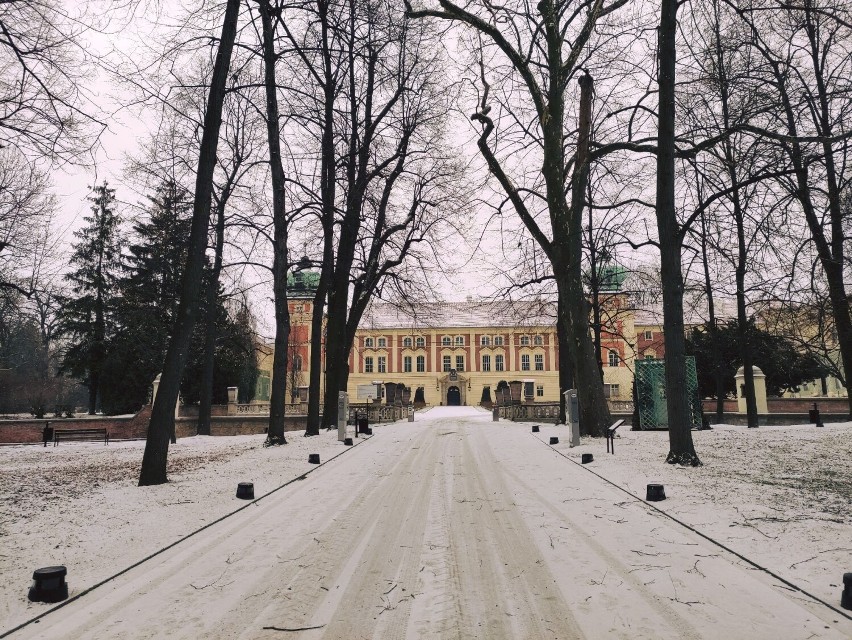 Muzeum - Zamek w Łańcucie przyprószony porannym śniegiem 