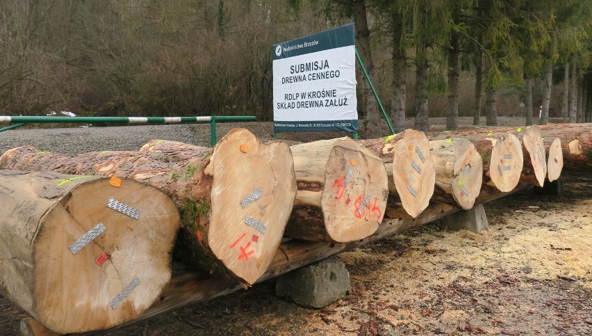 Skład submisyjny w Załużu - na legarach drewno jaworowe